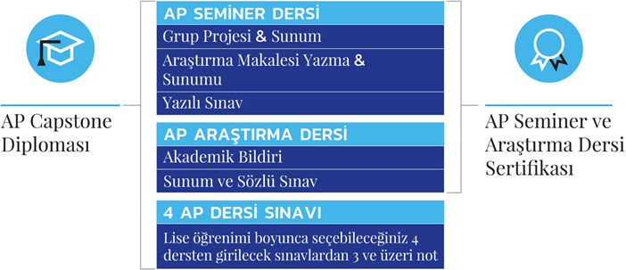ap 3